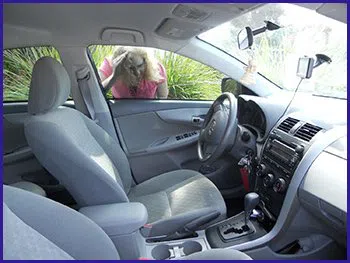 South Elmwood RI Locksmith Store South Elmwood, RI 401-371-3365